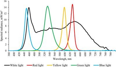 Effects of LED spectrum on circadian rhythmic expression of clock genes and Aanat2 in the brain of juvenile European seabass (Dicentrarchus labrax)